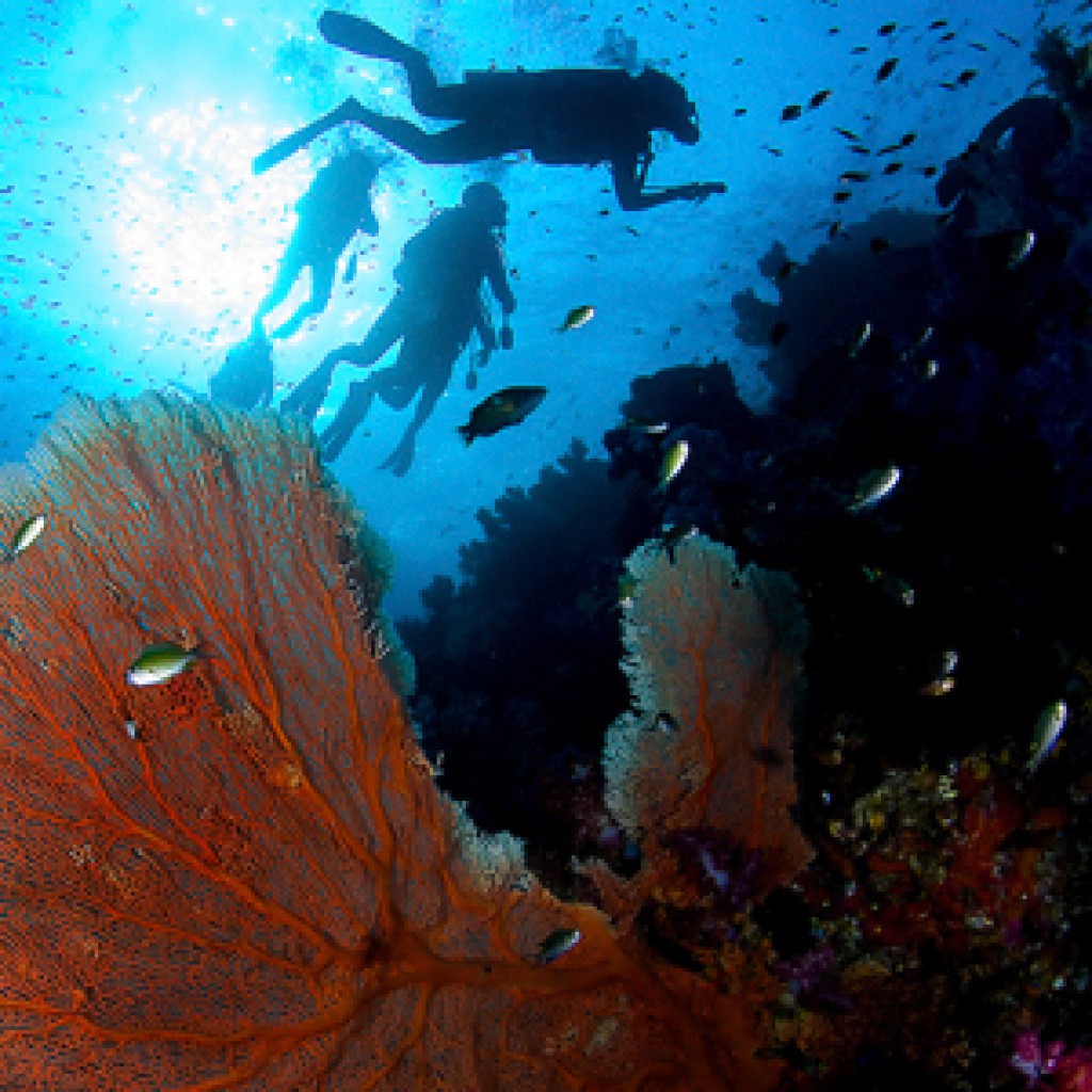 9. Islas Surin y Similan, Tailandia