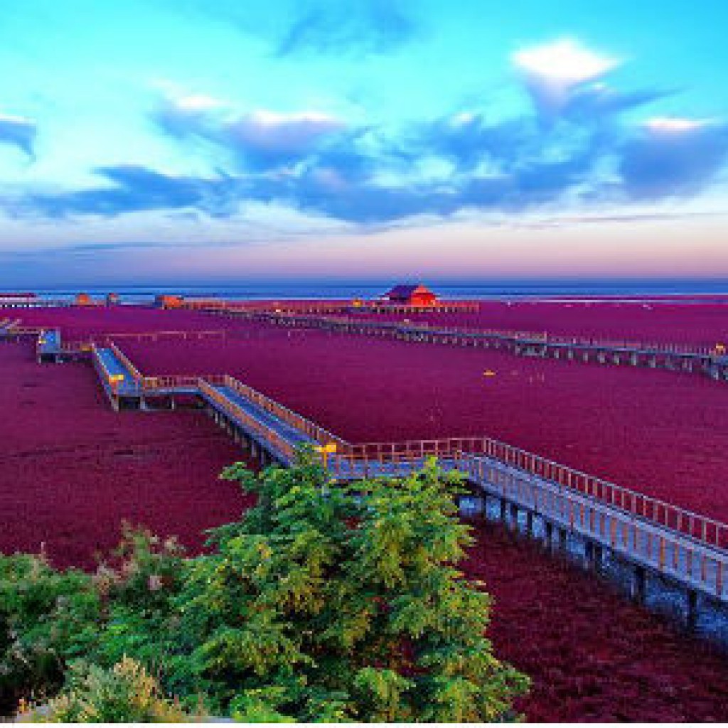 Playa-Roja-Panjin-China
