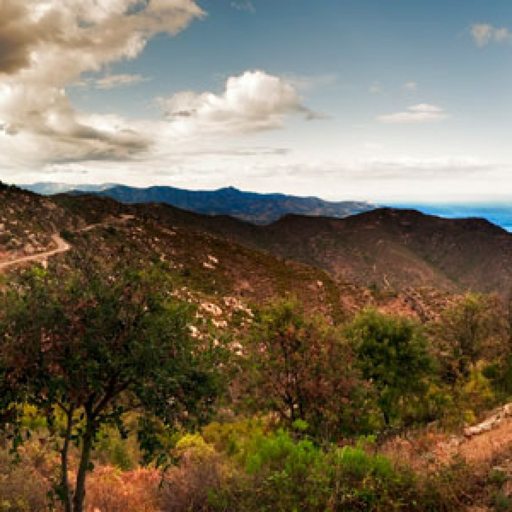 Foto: Jose Luis Mieza