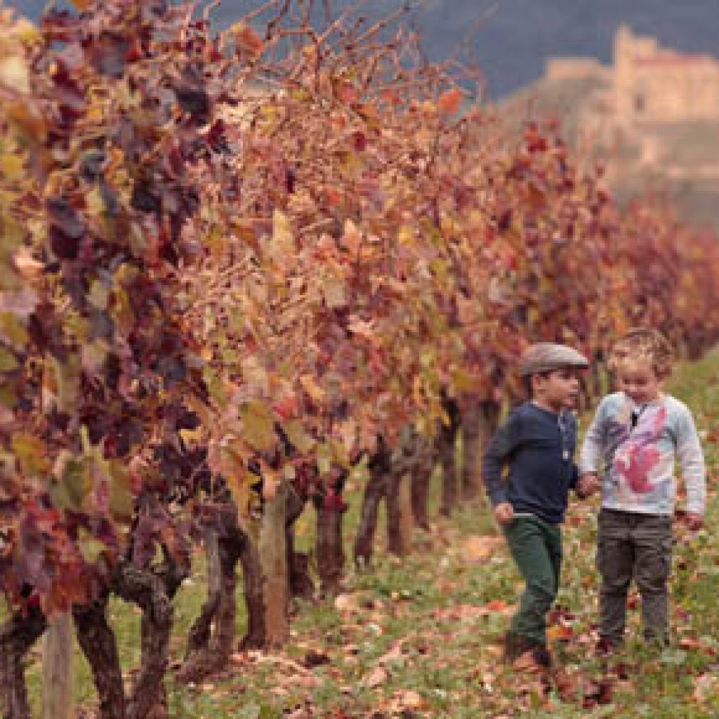 Sigue leyendo 7 Curiosidades del mundo del vino que deberías saber