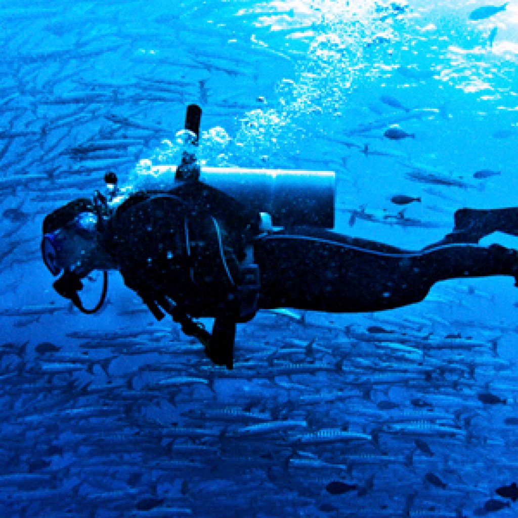 7. Sipadan, Malasia