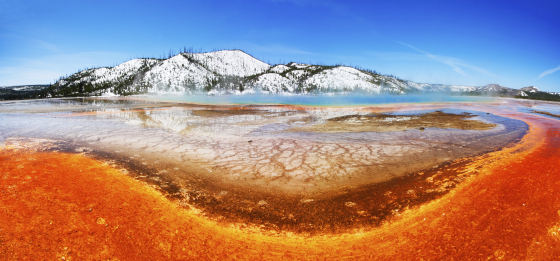 Colorful Yellowstone Spring