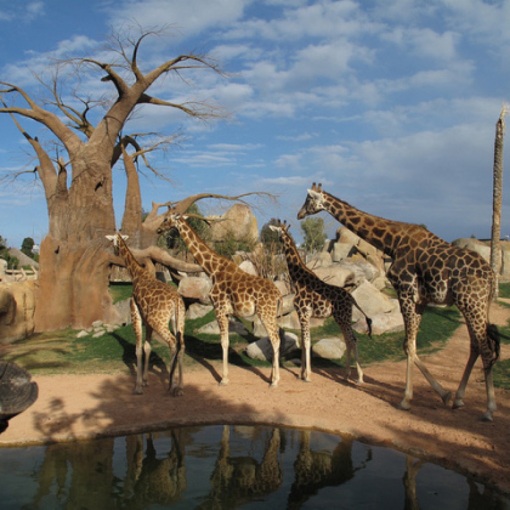 bioparc