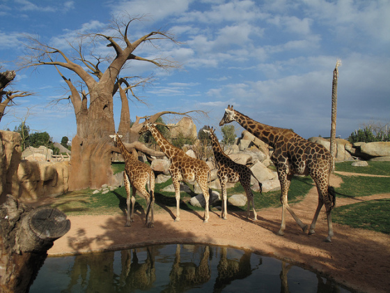 bioparc