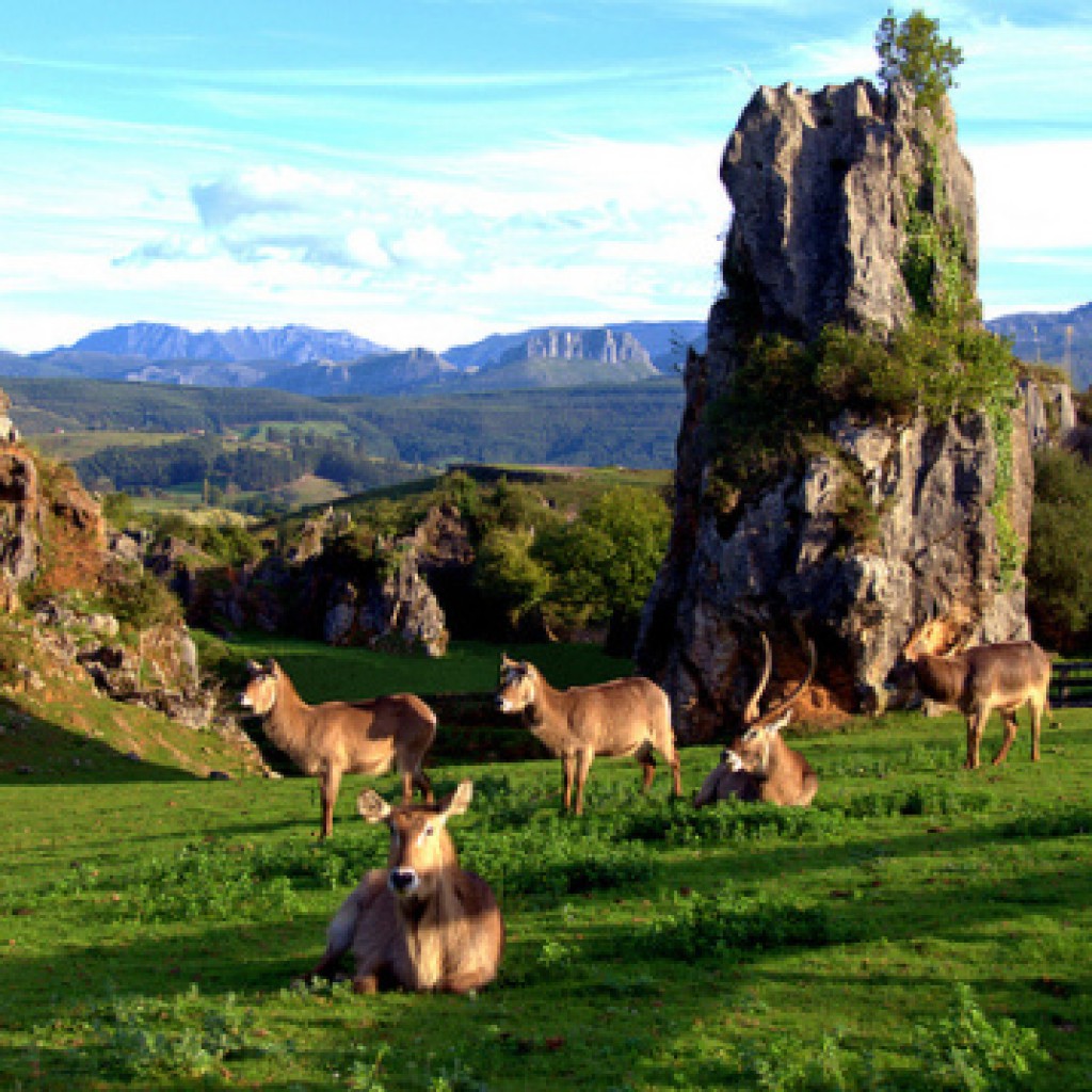 cabarceno