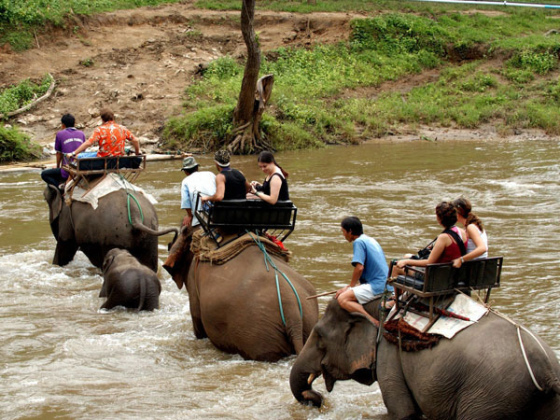 3. Chiang Mai