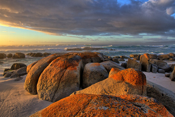 tasmania