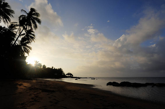 2. Isla de Taveuni (Fiyi)