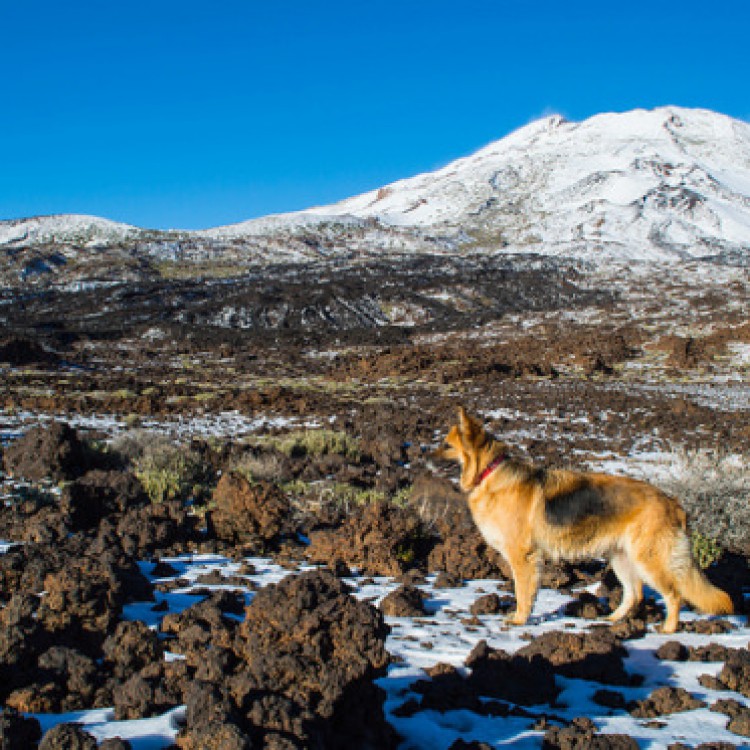 Que ver en las Islas Canarias: volcan chinyero