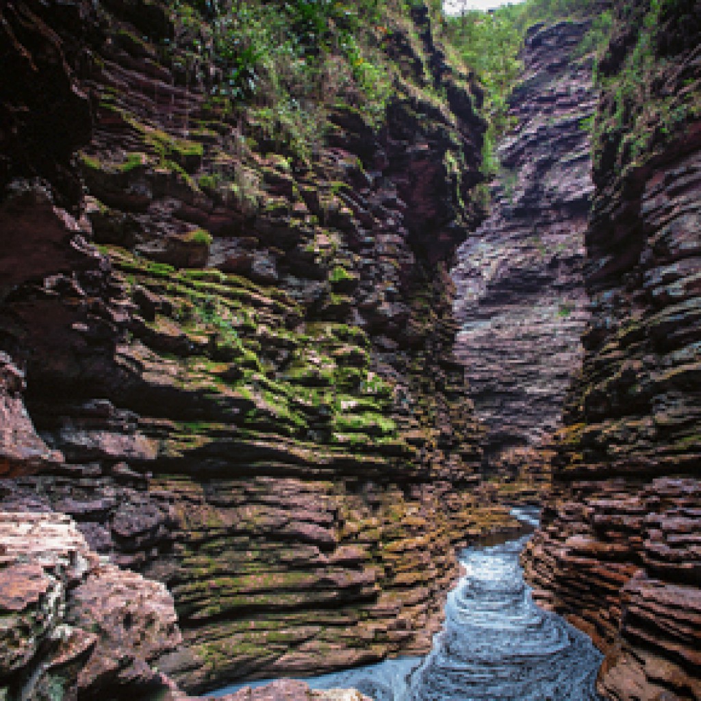 Sigue leyendo 10 rincones espectaculares que ver en Brasil