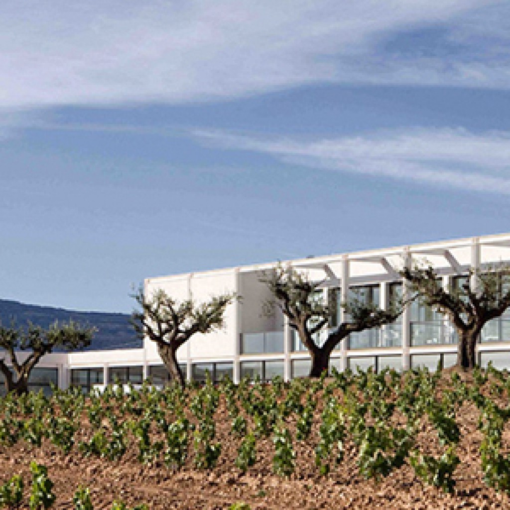 Finca de los Arandinos