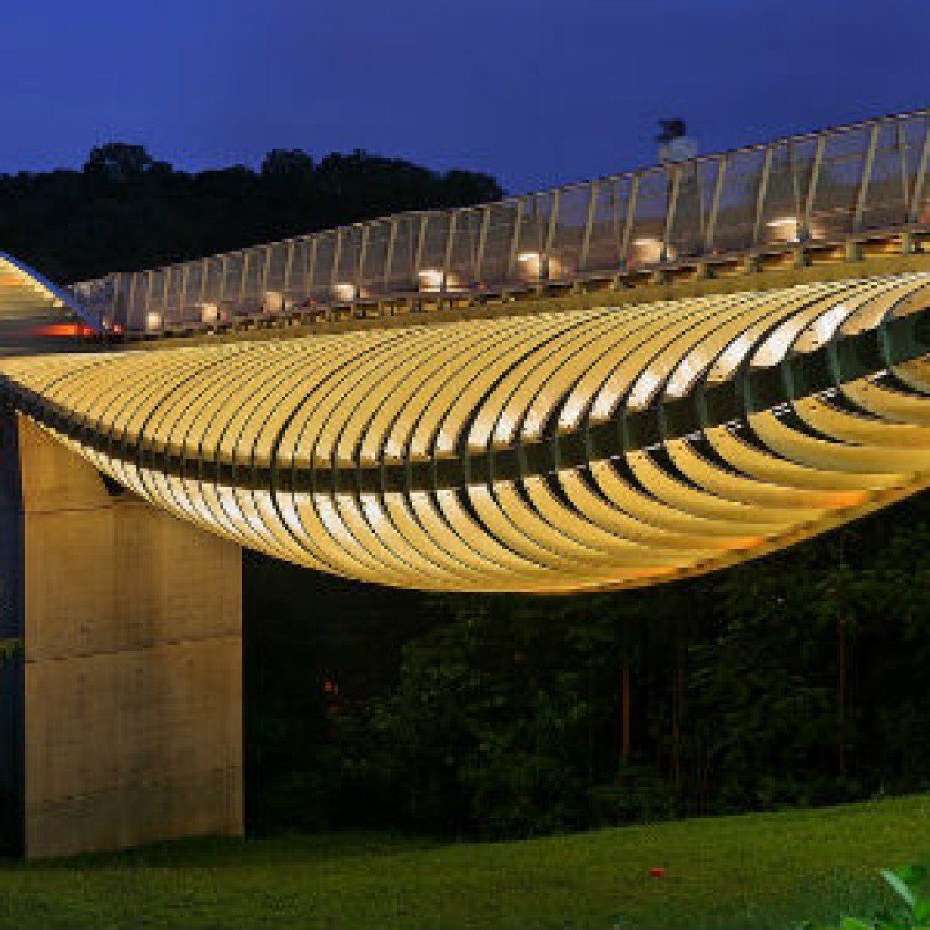 Henderson-Waves-Bridge-Landscpae