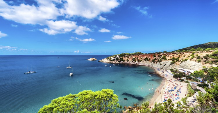 Ibiza (iStock)