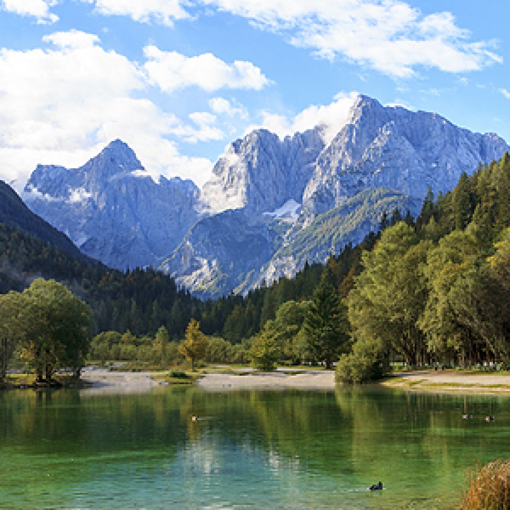 OM-Kranjska Gora-Eslovenia
