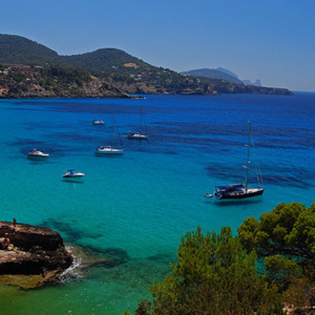 cala-tarida