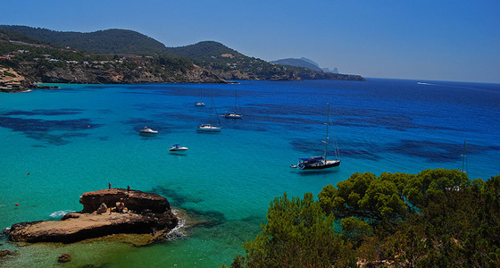 cala-tarida