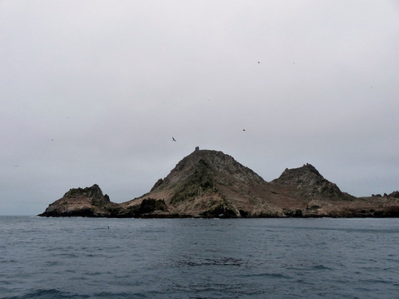 farallones