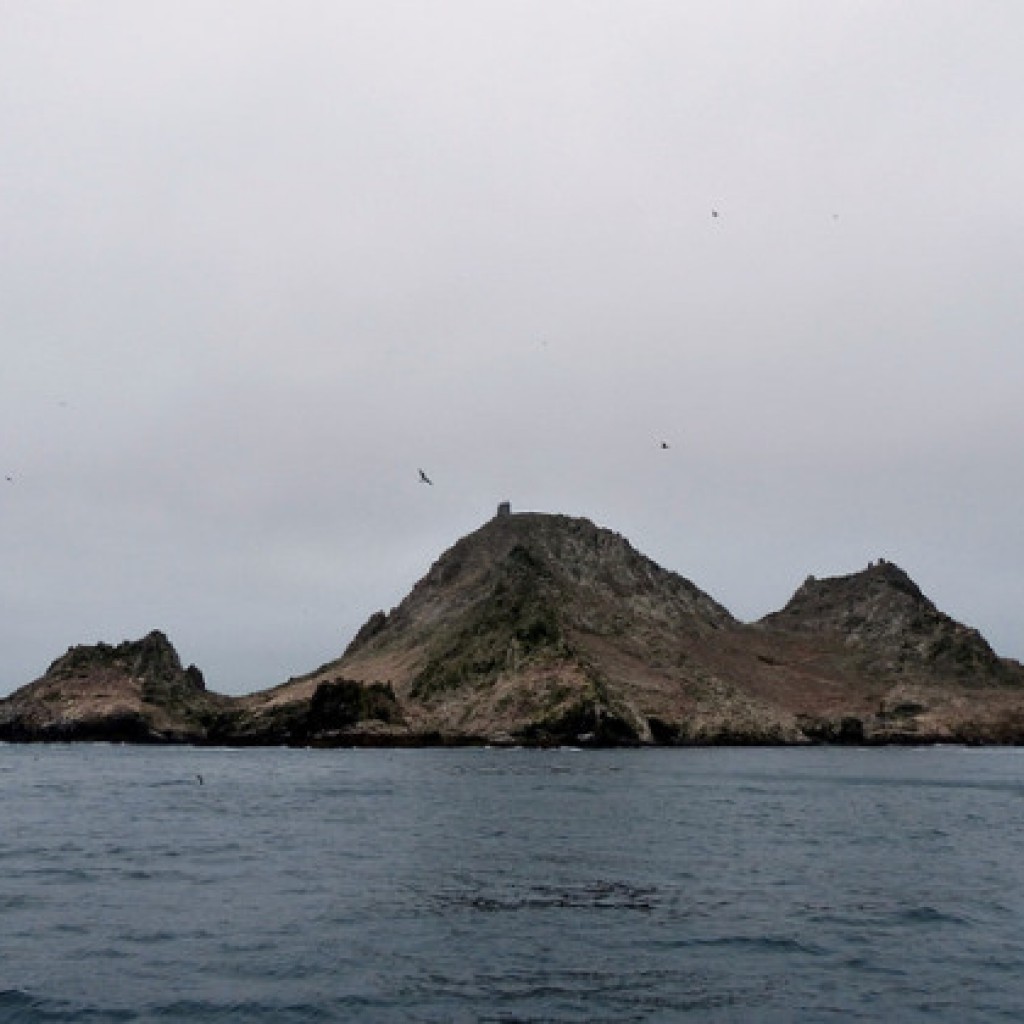 farallones