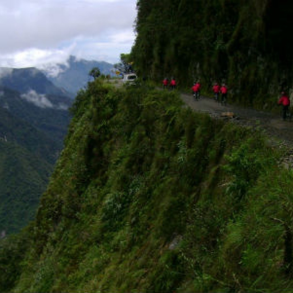 yungas