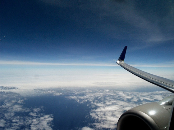 204589175_d7d0292dc9_z