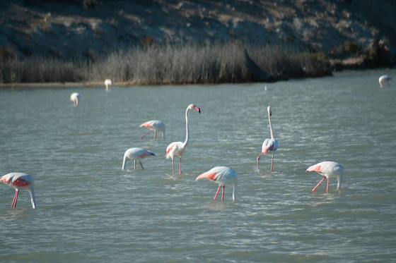 2441571702_9c14ed387c_z