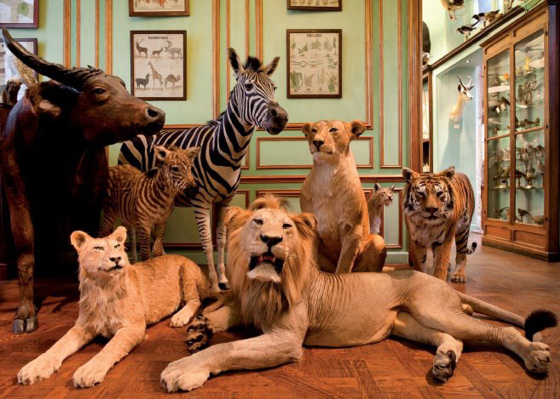 375568_510469022320706_592502124_n-1