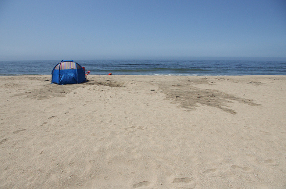 7298940122_f7994b5b47_z