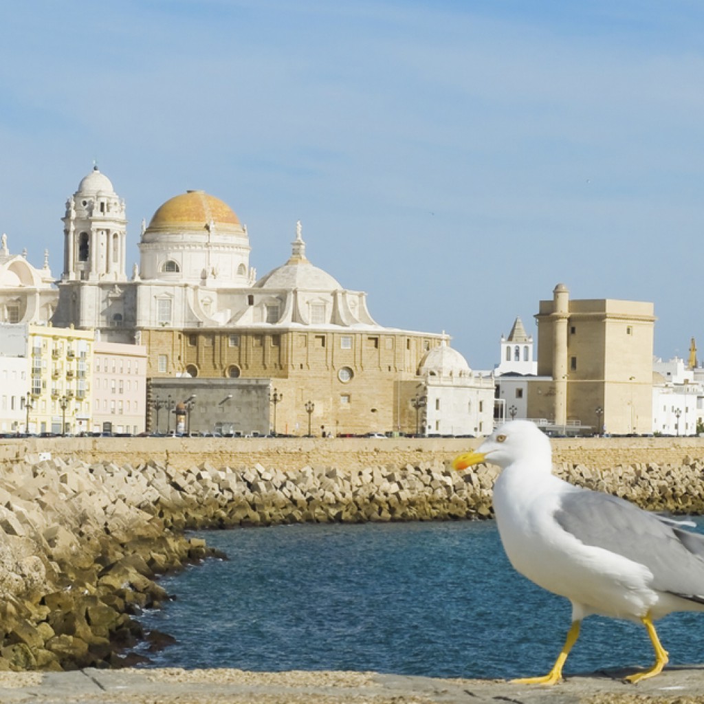Cádiz