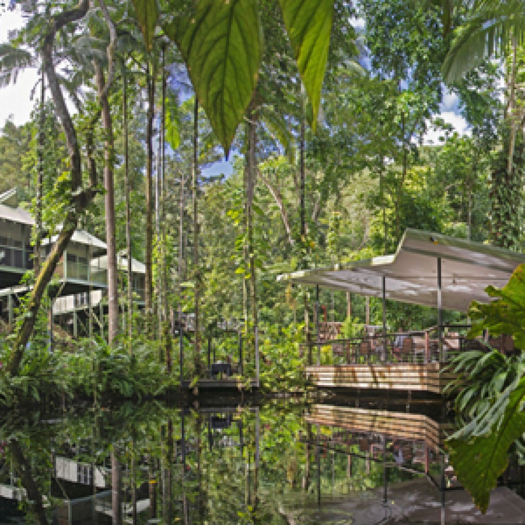 Daintree EcoLodge & Spa
