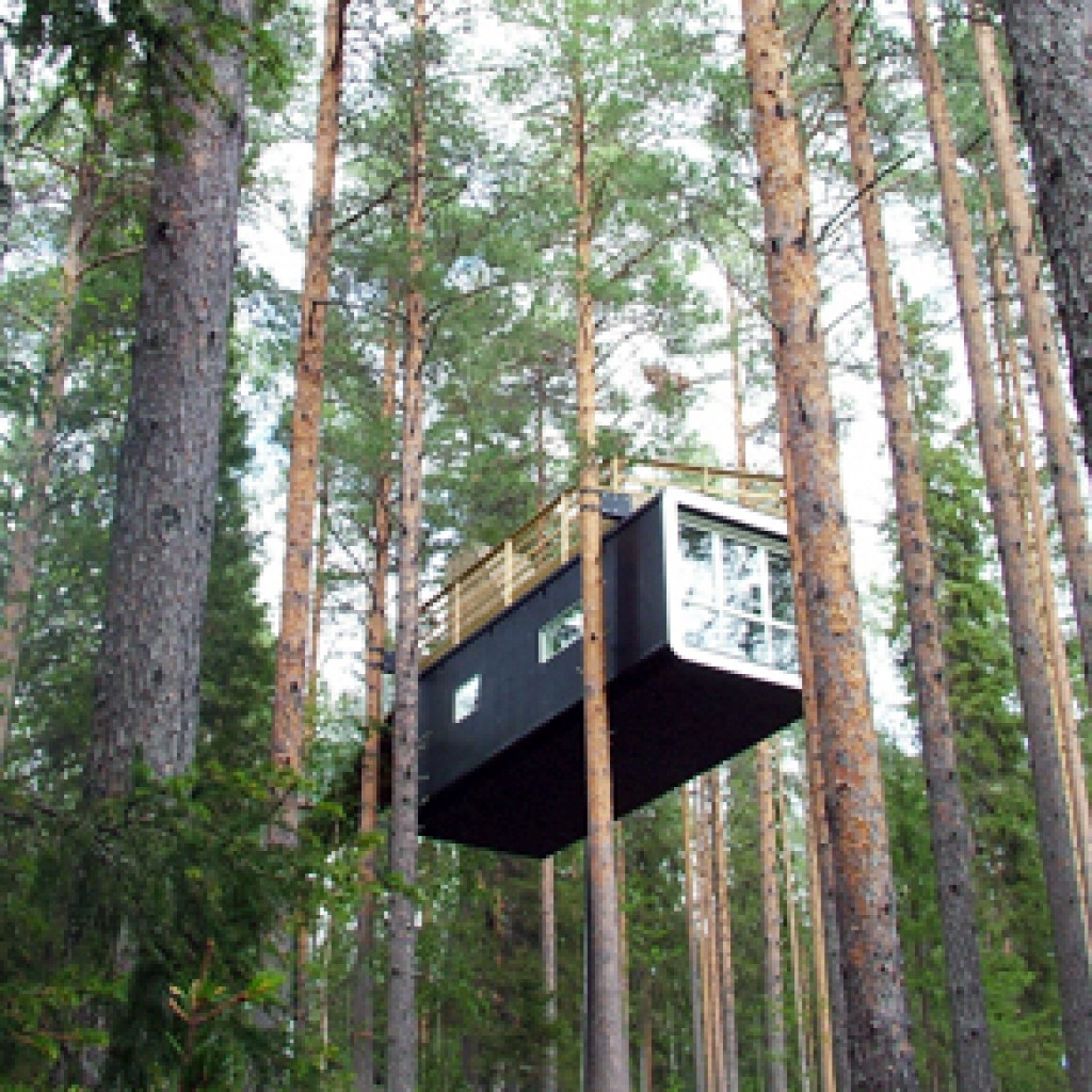 Sigue leyendo 10 hoteles construidos en las ramas de los árboles