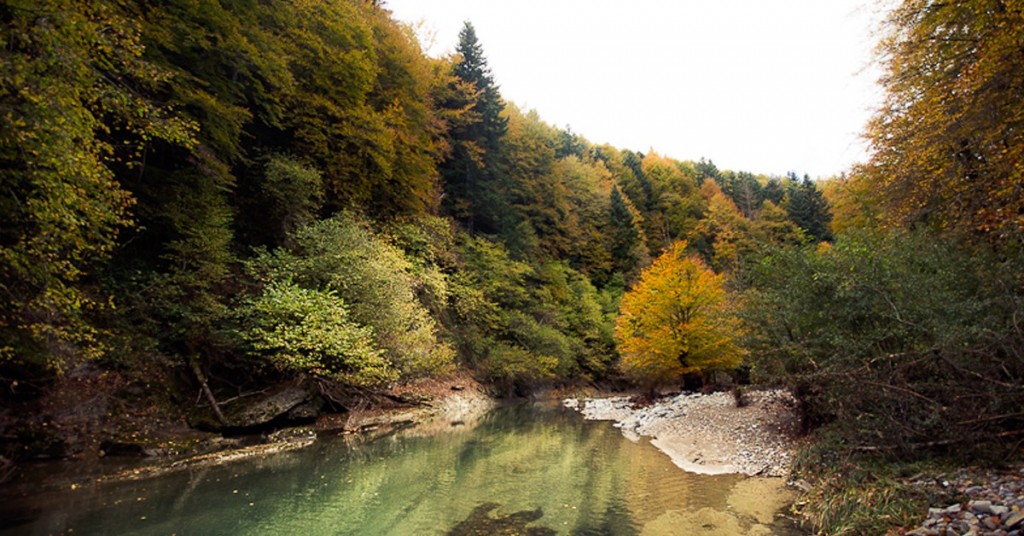 Navarra 1200x628