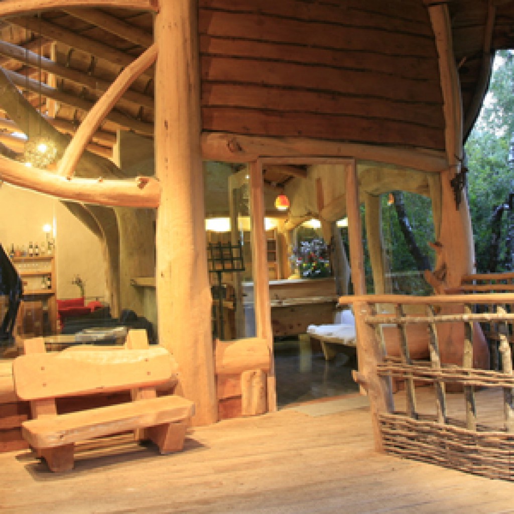 Nidos de Pucón Tree Lodge