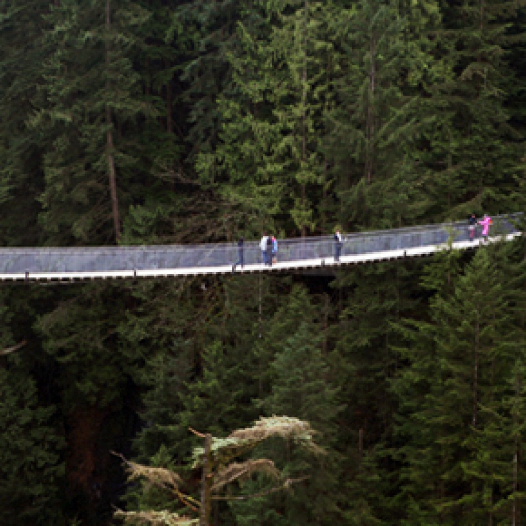 Sigue leyendo Los 9 puentes colgantes más vertiginosos del mundo