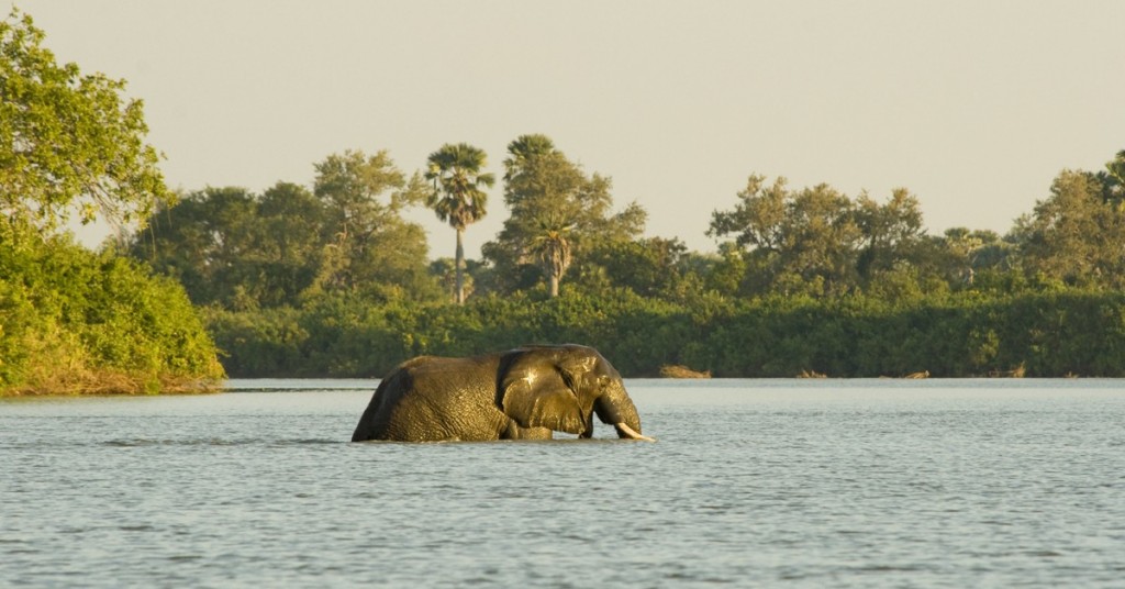 Tanzania