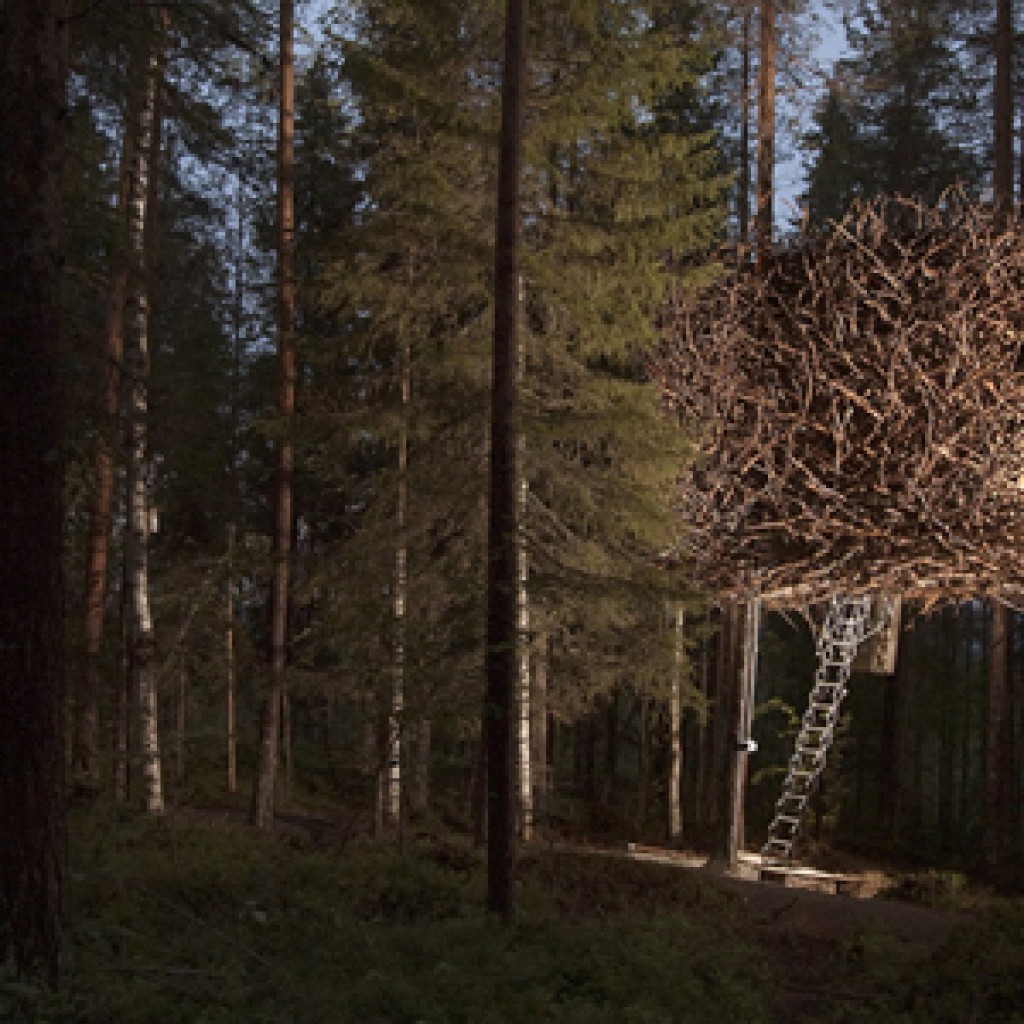 Tree Hotel