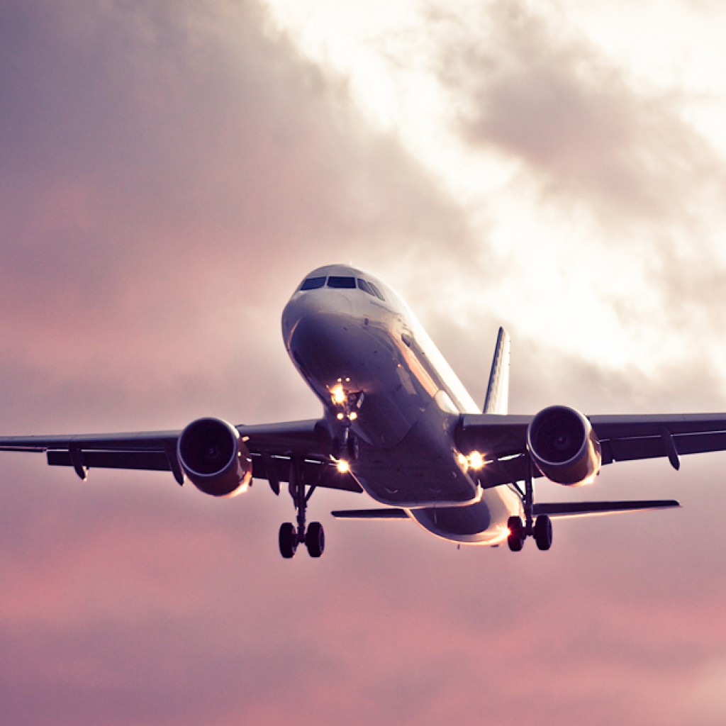 Sigue leyendo Las cosas más raras que han intentado llevar en avión