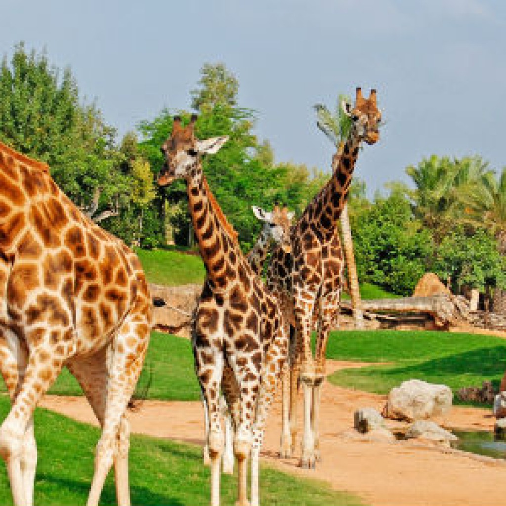 bioparc