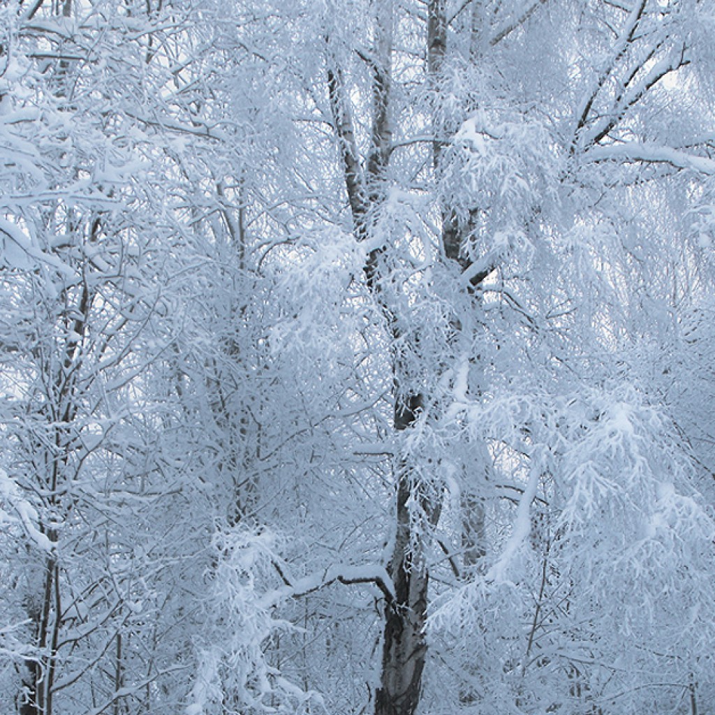Finlandia