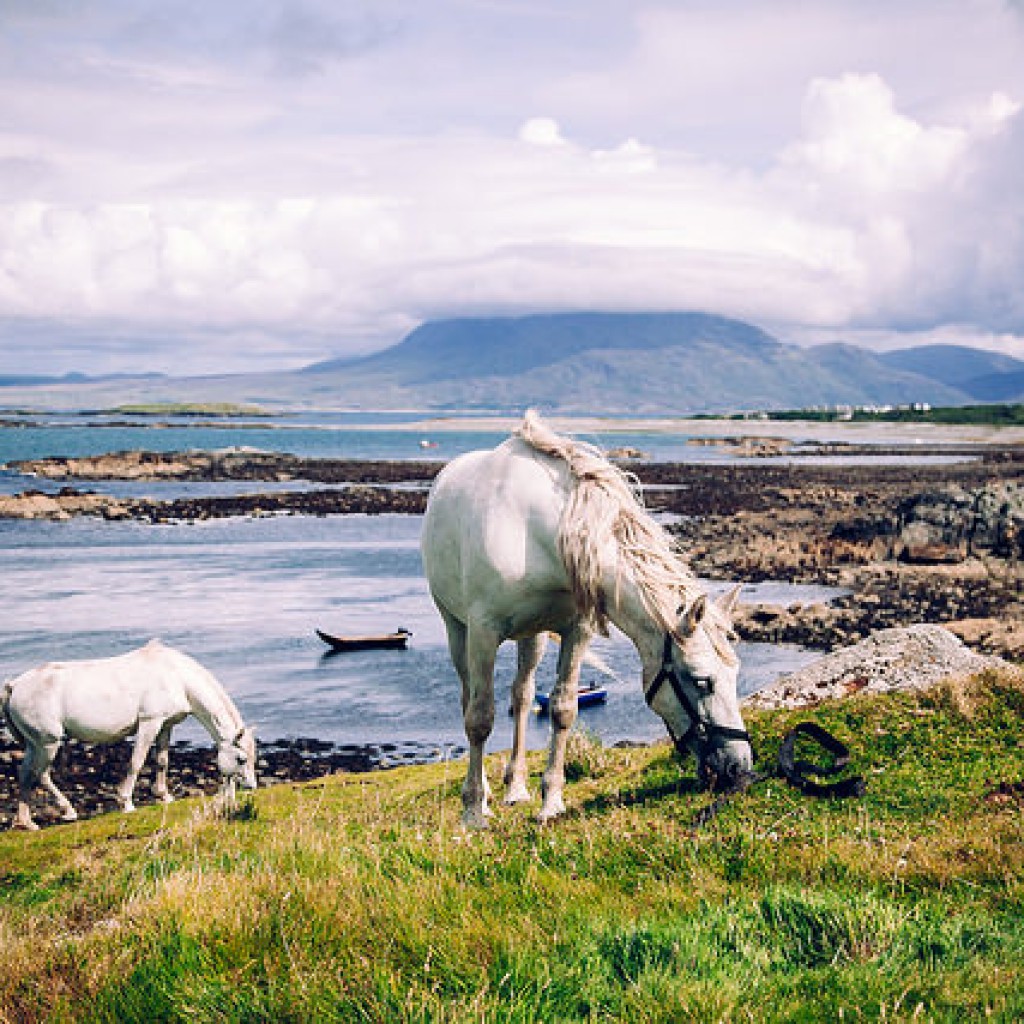 Irlanda