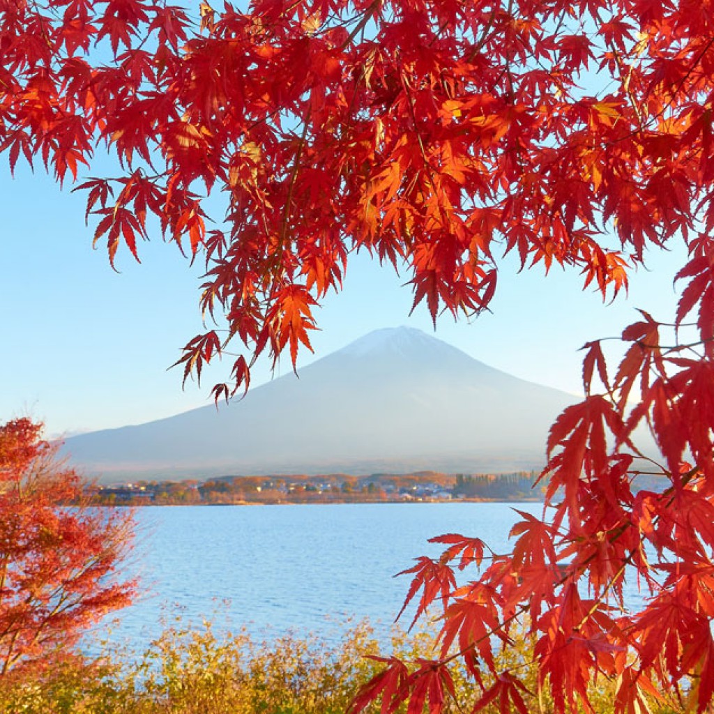 Qué ver en Japón