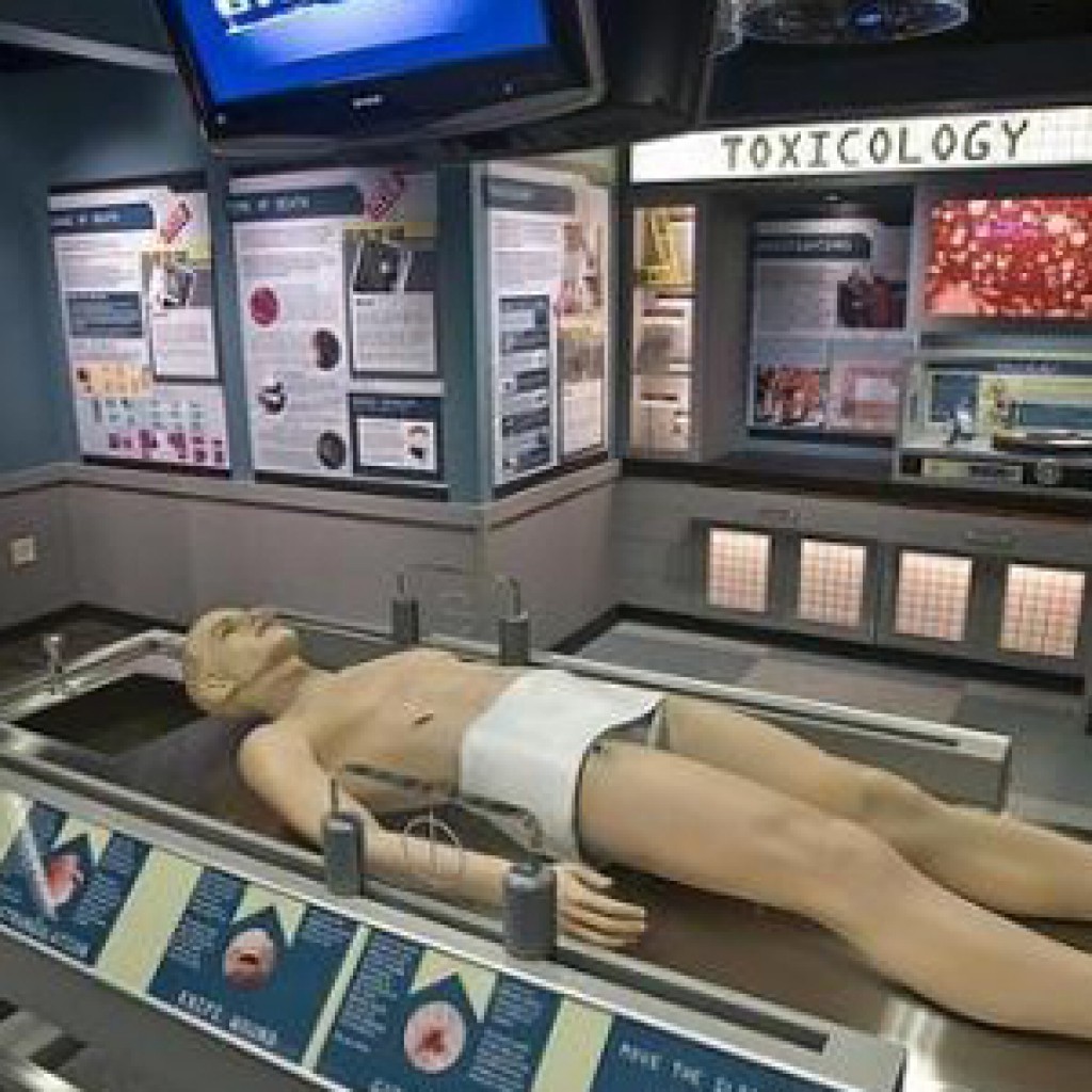 museos5