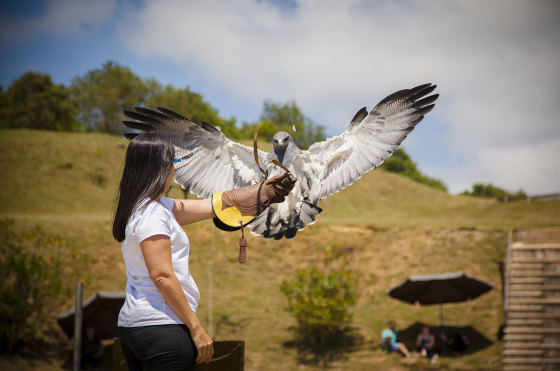 Visita-salvaje-en-Cabarceno--Tan-cerca-de-los-animales-2