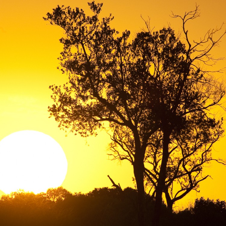 Sigue leyendo Las 7 diferencias entre turistas y viajeros