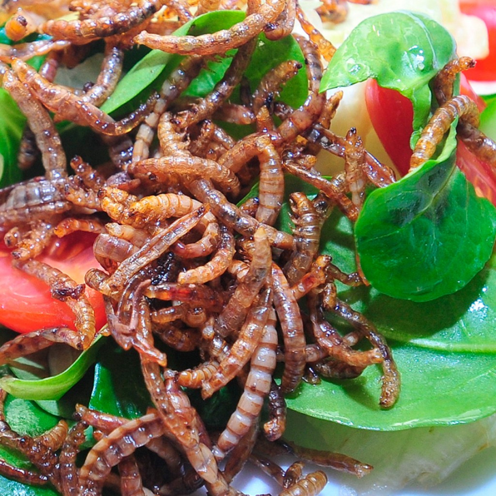 Sigue leyendo Los platos más extravagantes que nos encontramos en los restaurantes del mundo