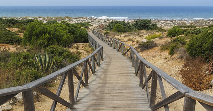 playa la barrosa