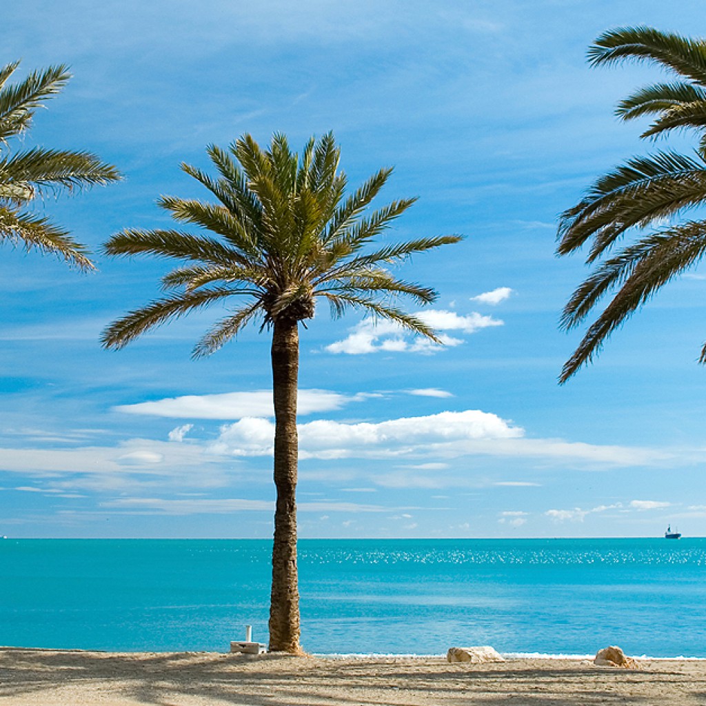 Sigue leyendo Las mejores playas de la Costa del Sol