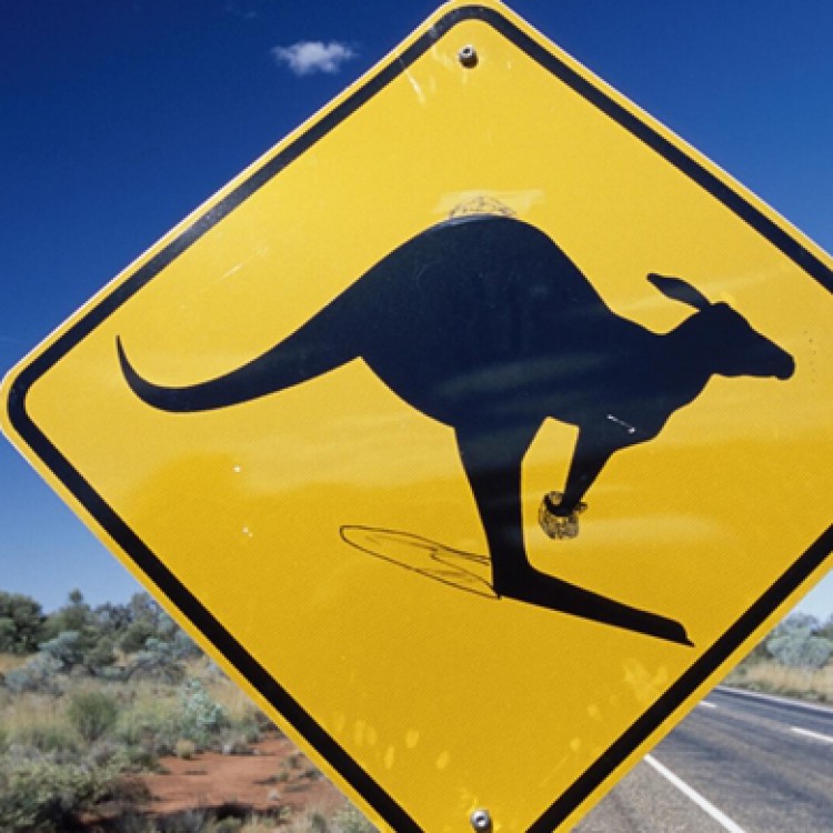 Señal de canguros en Australia. Agrega2 (Ministerio de Educación y Cultura).