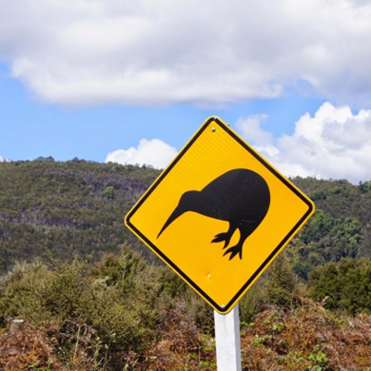 Señal de cuidado con el kiwi.