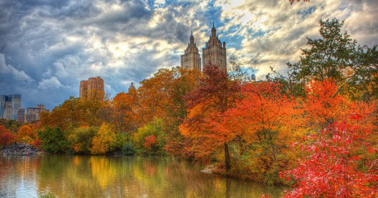 Central Park, Anthony Quintano (Foter)
