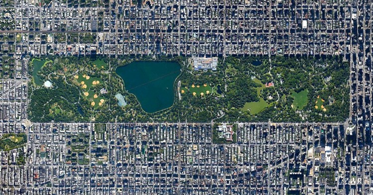 Central Park (Nueva York) (Fuente: Instagram)